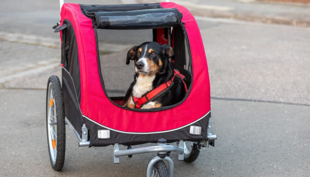 best dog bike trailers