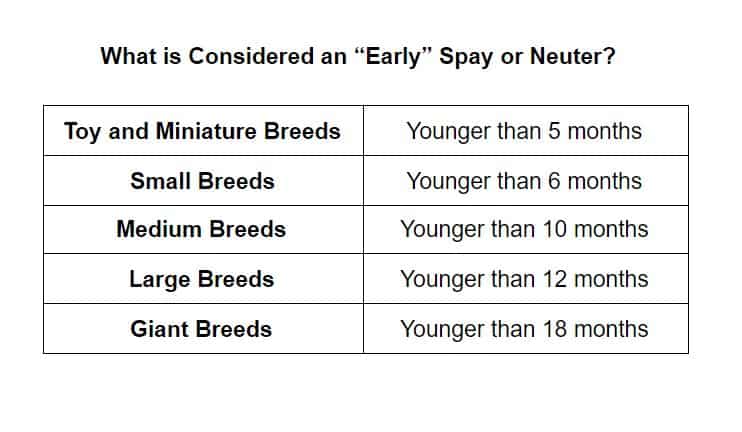 a table showing time frames for the definition of early spay neuter from Dr. Candy
