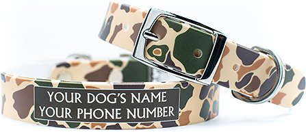 personalized collars