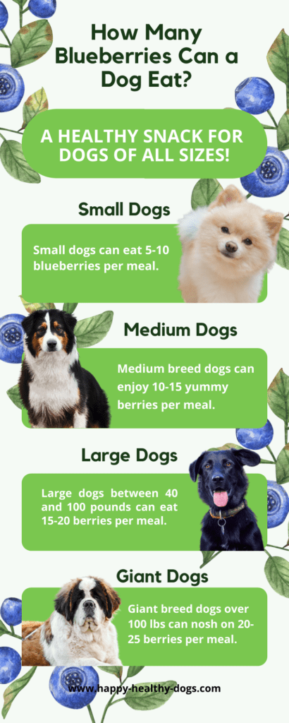 how many blueberries can dogs eat