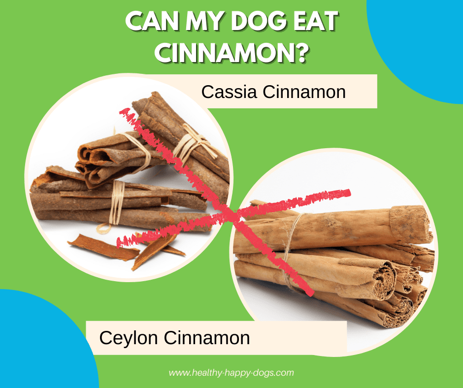 can my dog eat cinammon