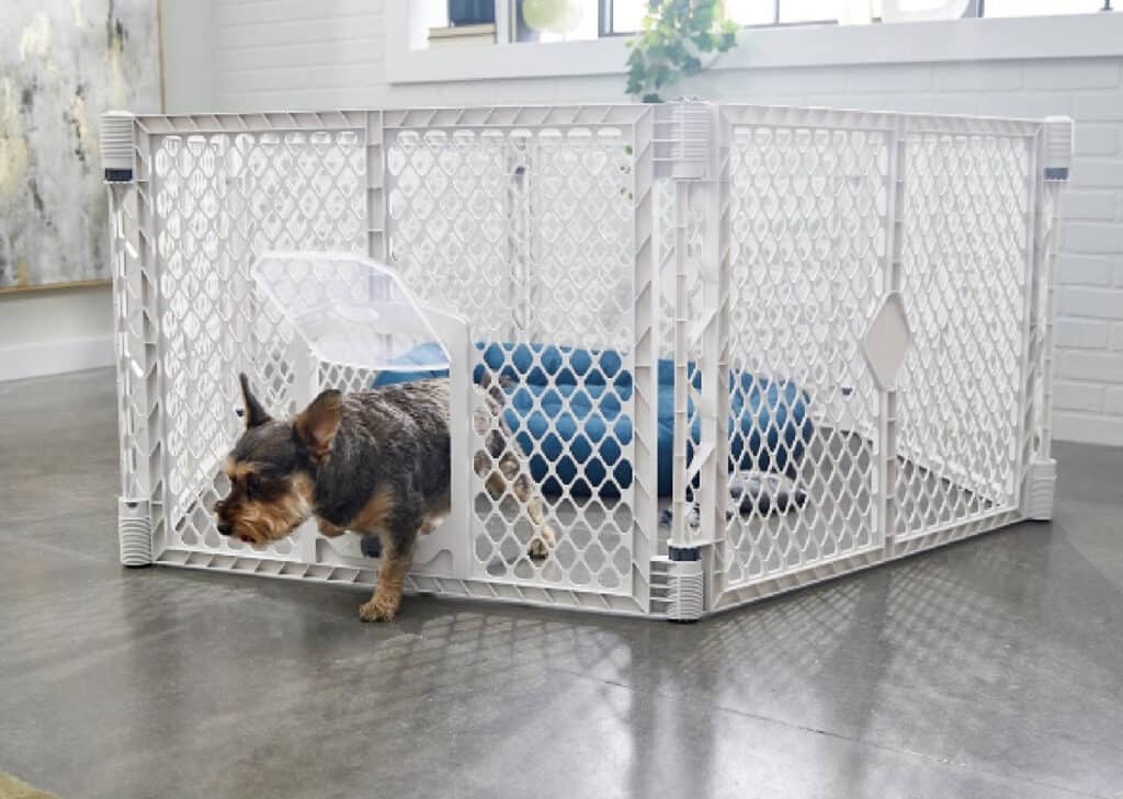 Portable playpen for dogs with mesh cover