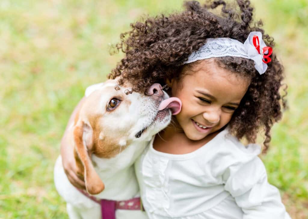 best dog playpens