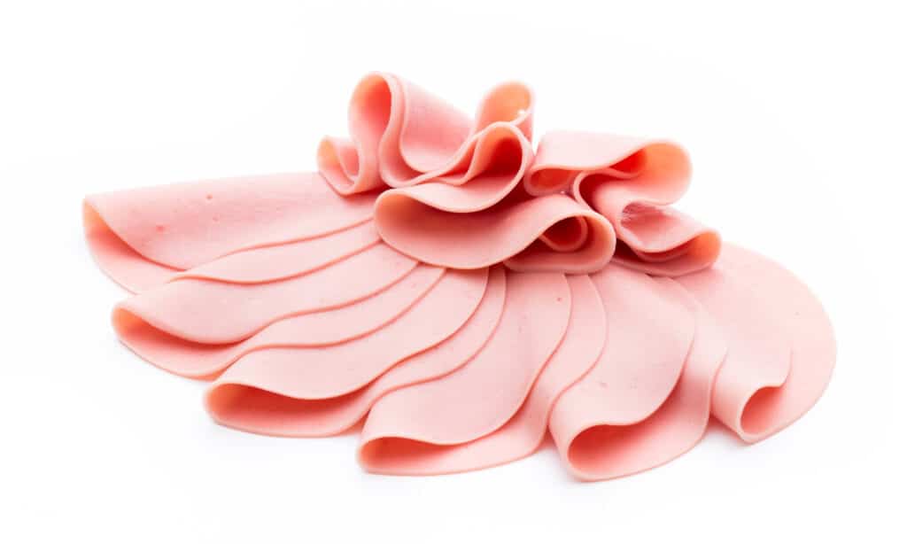 Canine nutrition: adding bologna in moderation