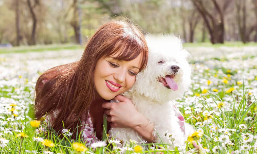 The dangers of feeding cloves to your dog