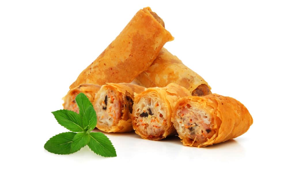 Dogs and Egg Rolls: Risks and Precautions