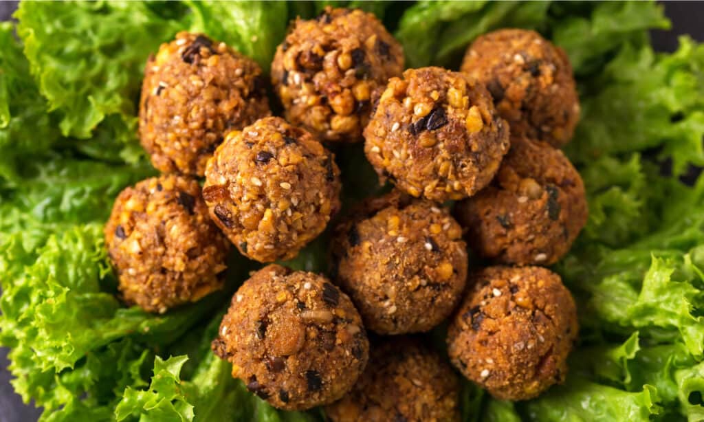 Canine-friendly falafel recipe for your furry friend