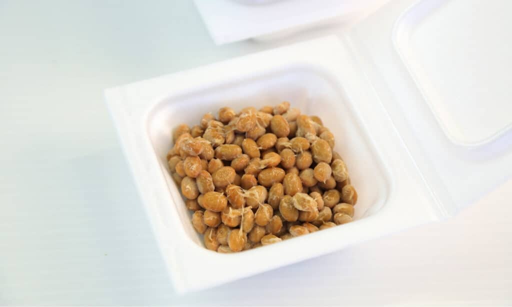 Natto for dogs: a complete guide