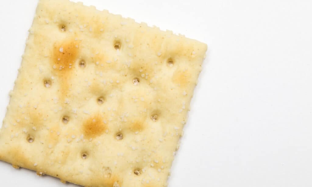 Can Saltine Crackers Benefit Your Dog's Health? Learn More