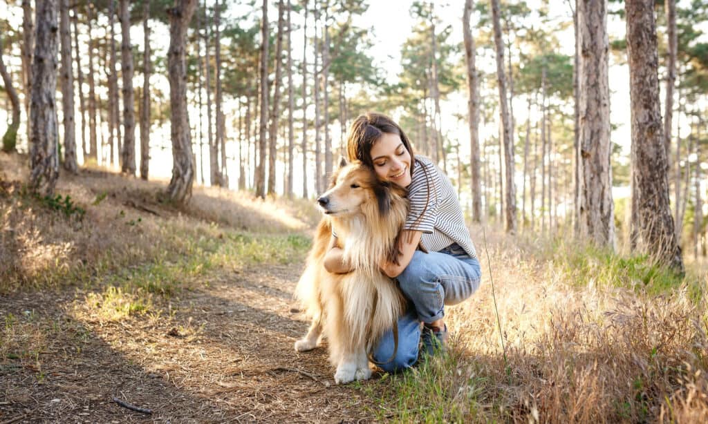 Can Dogs Safely Eat Saltine Crackers? Find Out Here