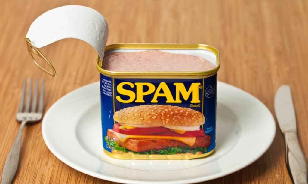 Is Spam a healthy addition to a dog's diet?