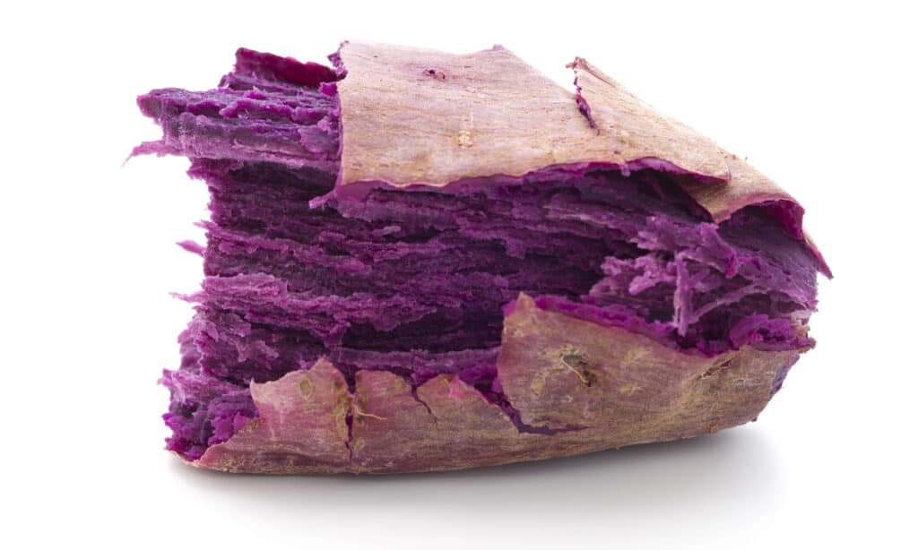 Ube for dogs: a healthy and tasty addition to their diet