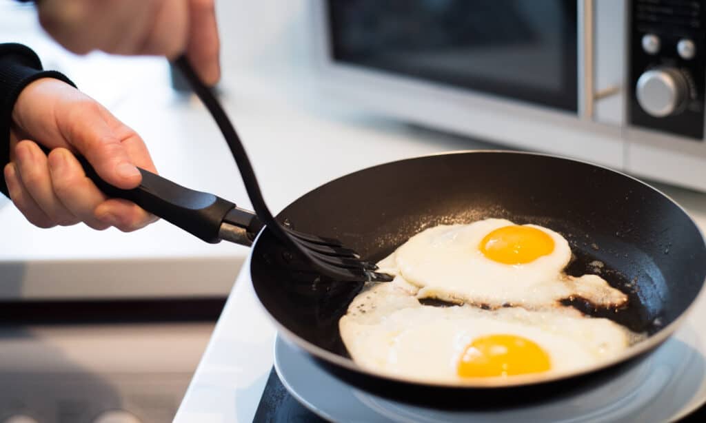 Can dogs eat fried eggs? Yes, but in moderation
