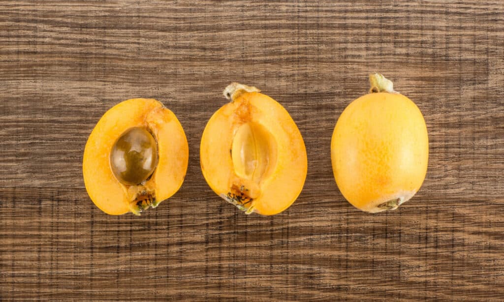 Canine-friendly fruits: the truth about feeding loquats to dogs