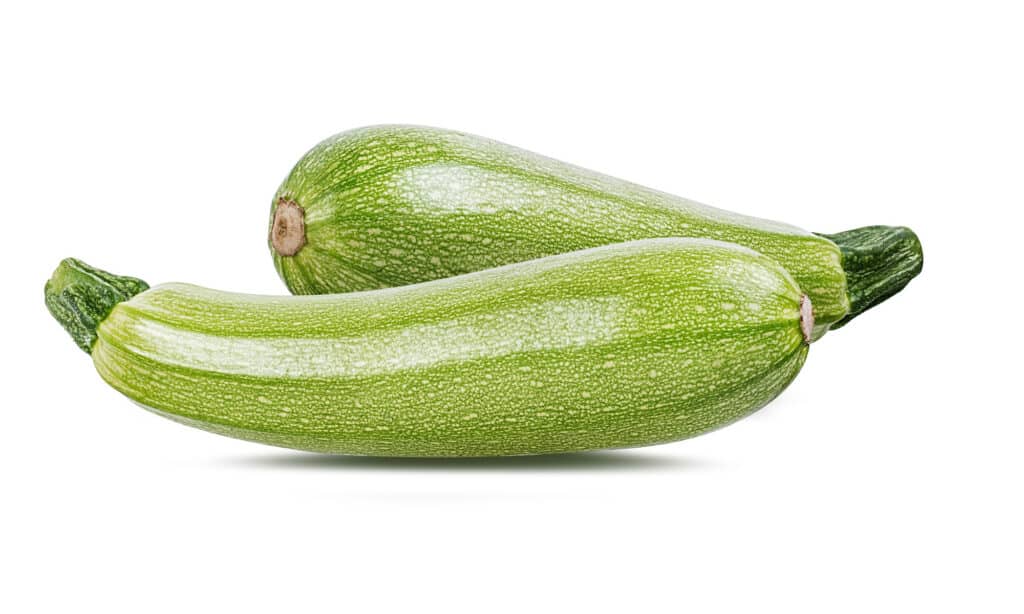 Zucchini as a safe food for dogs