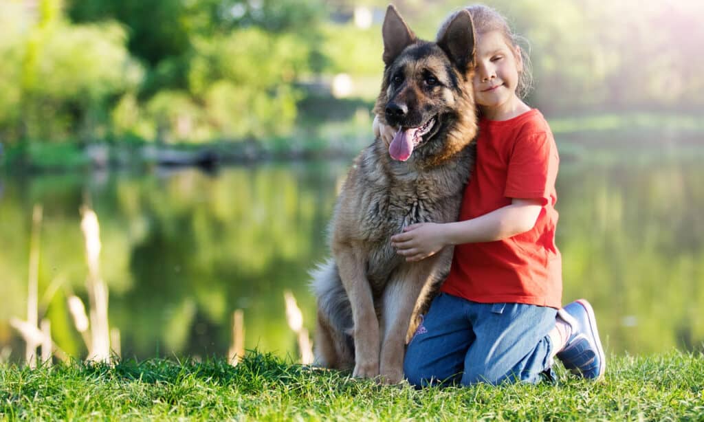 How to use dog body language to better communicate with your furry friend