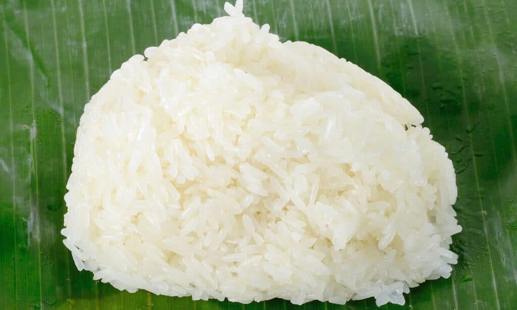 The ultimate guide to feeding your dog sticky rice