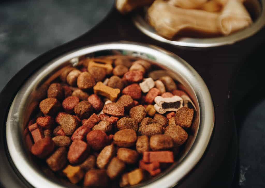 Pet Food Safety: Avoiding Melamine Contamination