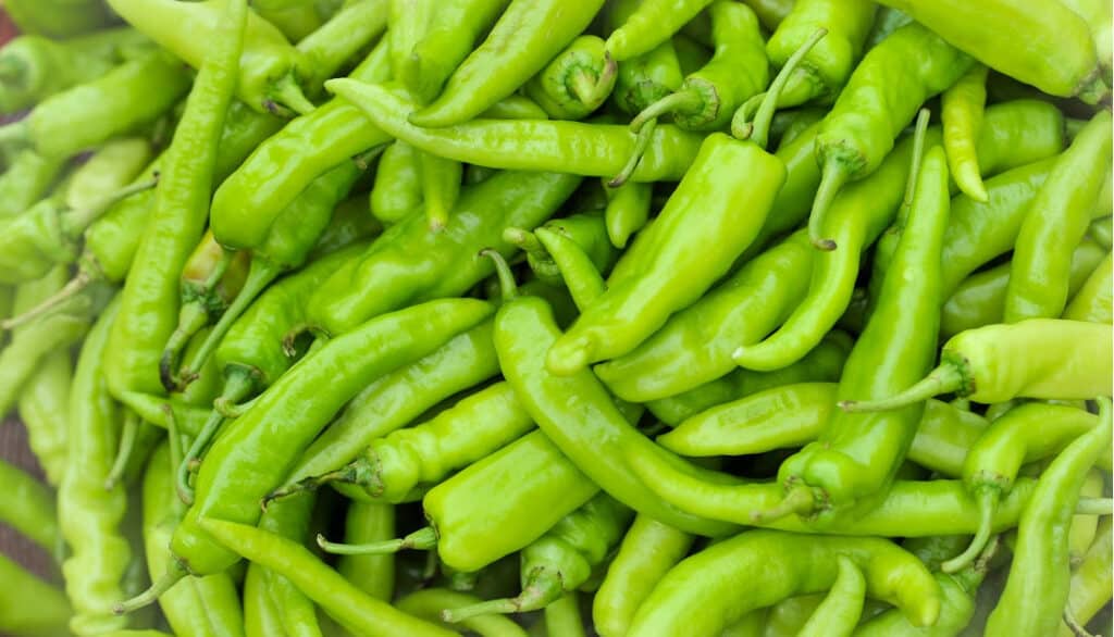 pile of banana peppers