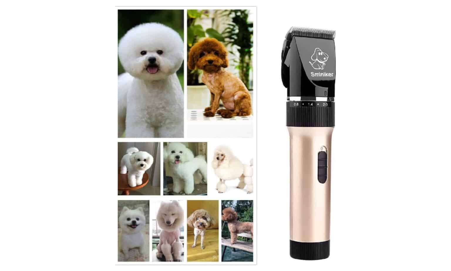 Top 7 Best Professional Dog Grooming Kits Review (2023)