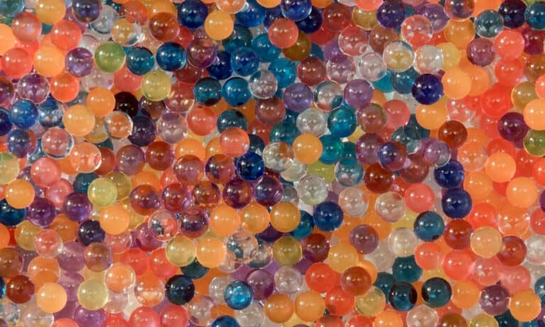 Are Orbeez Toxic To Dogs? Expert Answers