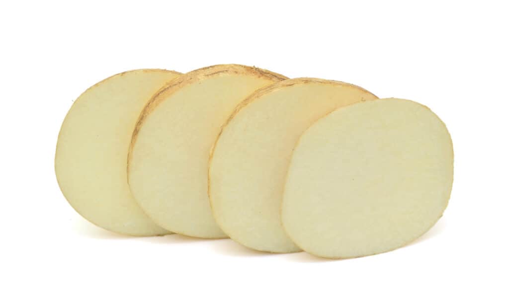 slices of jicama