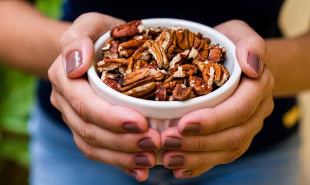 bowl full of pecans. are they safe for dogs?