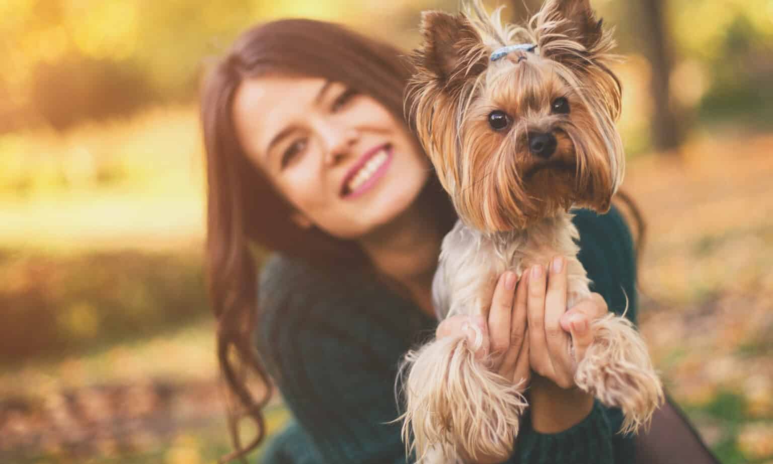 Do Dog Nipples Shrink After Spaying? What You Need to Know