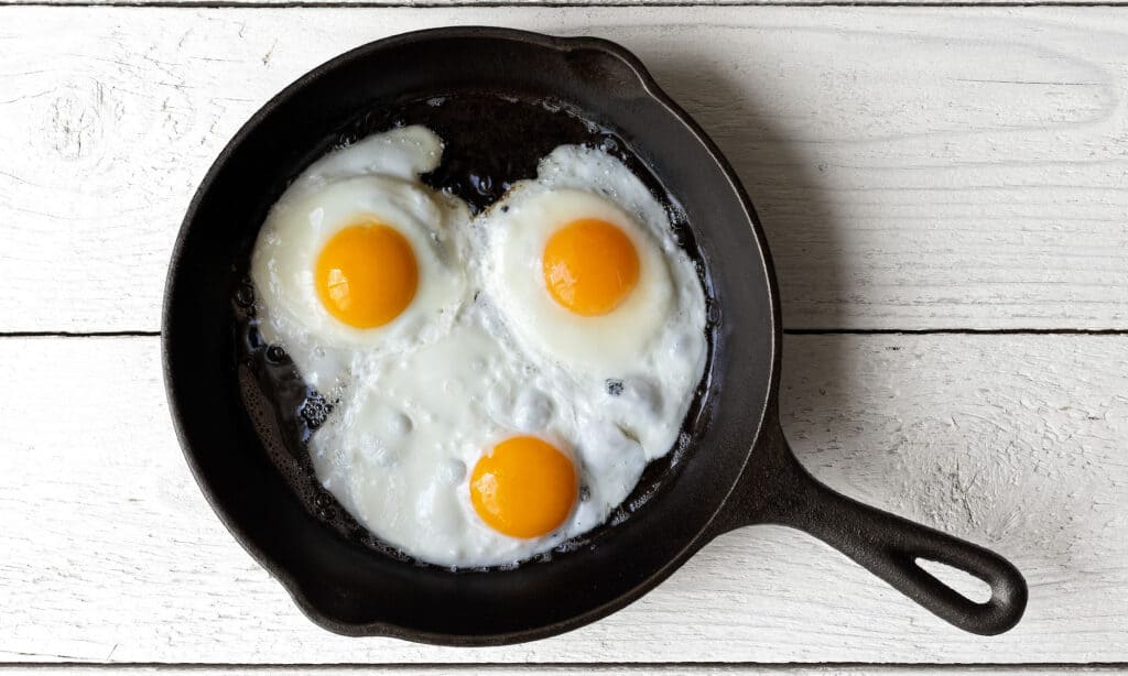 eggs are in a cast iron skillet - can dogs be allergic