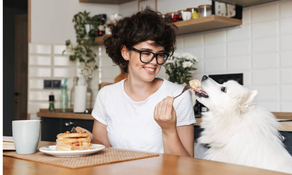 A girl sharing healthy food with her dog - promoting a nutritious diet for dogs