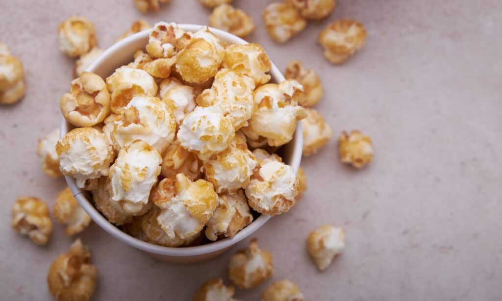 is caramel popcorn safe for dogs