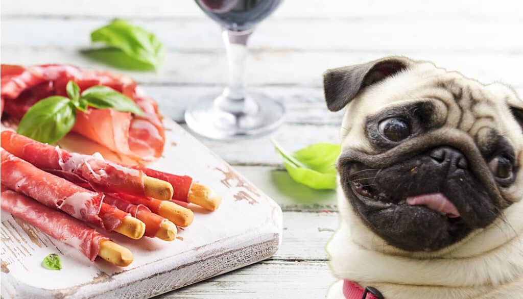 Can Dogs Eat Prosciutto? Find Out Here!