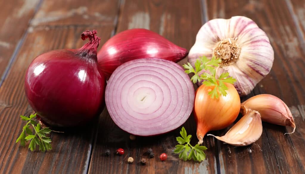 different types of onions and garlic