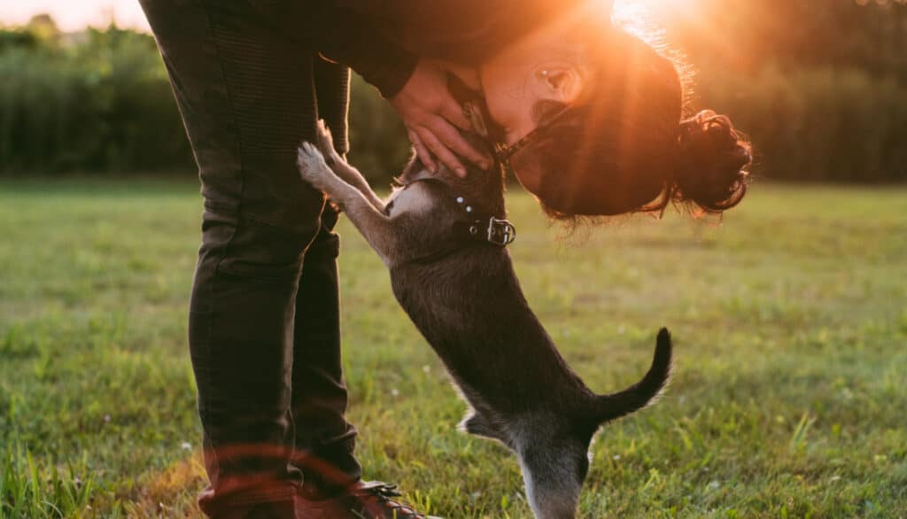 picture of owner bent at the waist and kissing dog on head