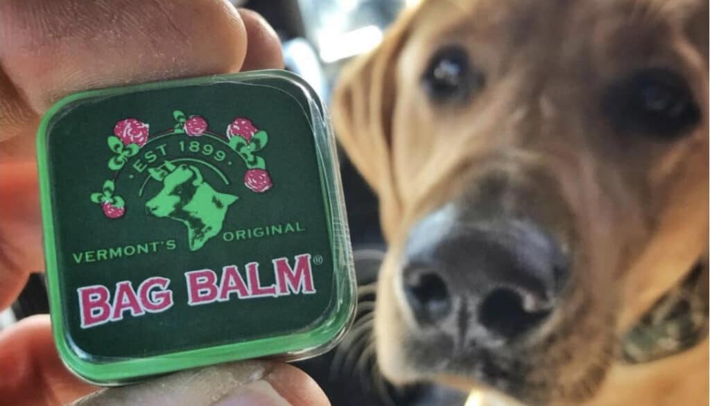 small tin of bag balm with a dog in the background