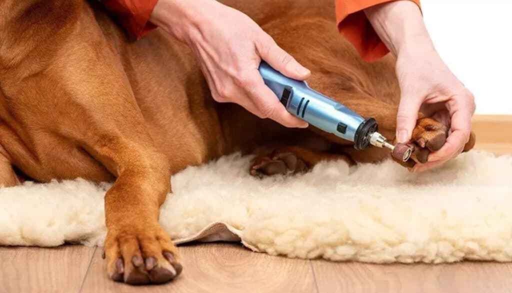 benefits of using a nail grinder on dog nails