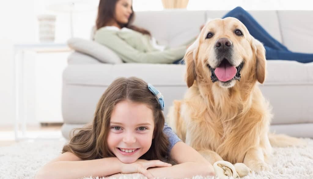dog relaxing with child on the floor