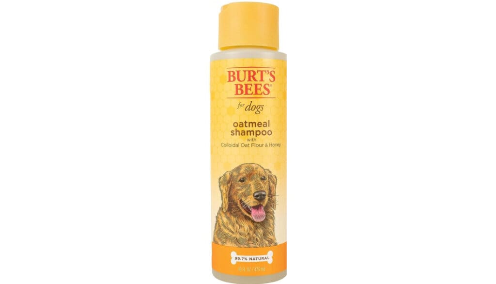 Burts Bees Oatmeal Shampoo