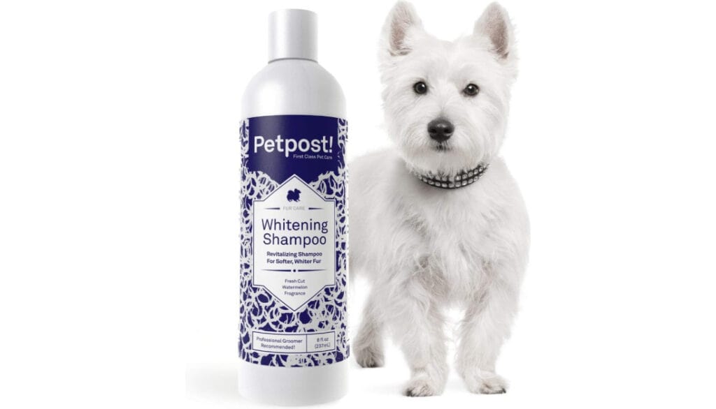 Petpost | Dog Whitening Shampoo