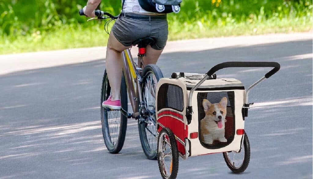 best bike trailers for dogs