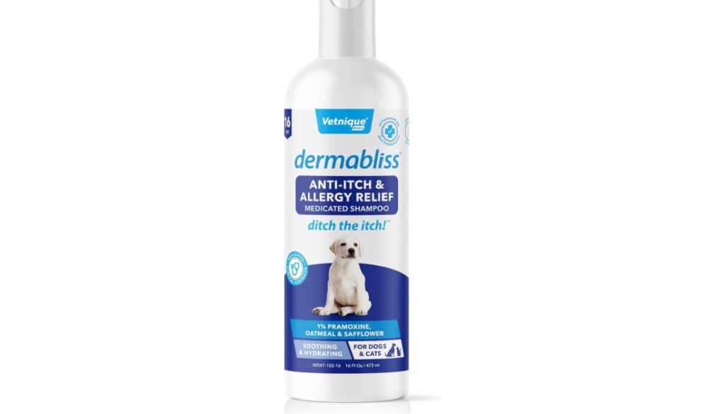 dandruff shampoo for dogs