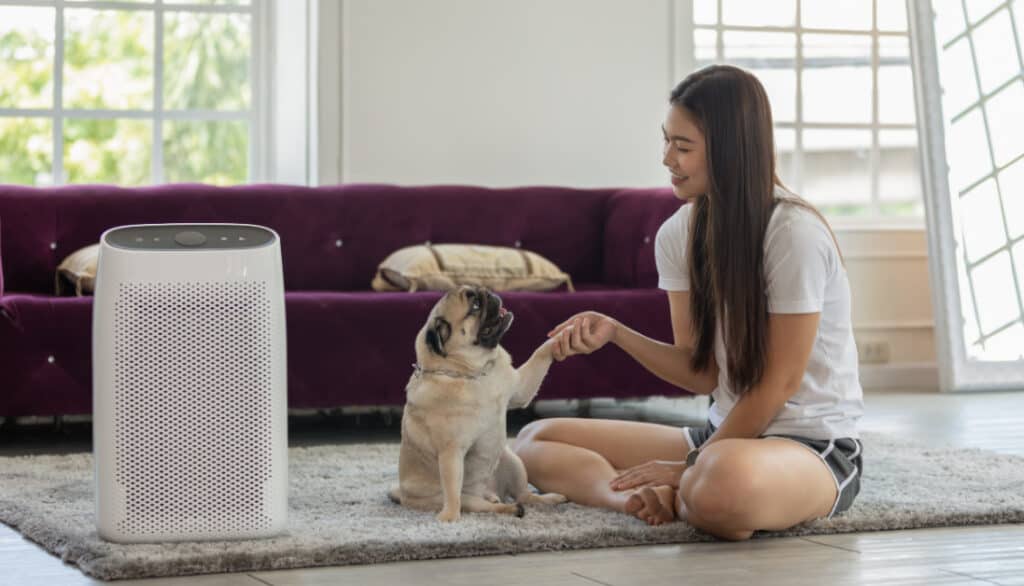 air purifier for dogs