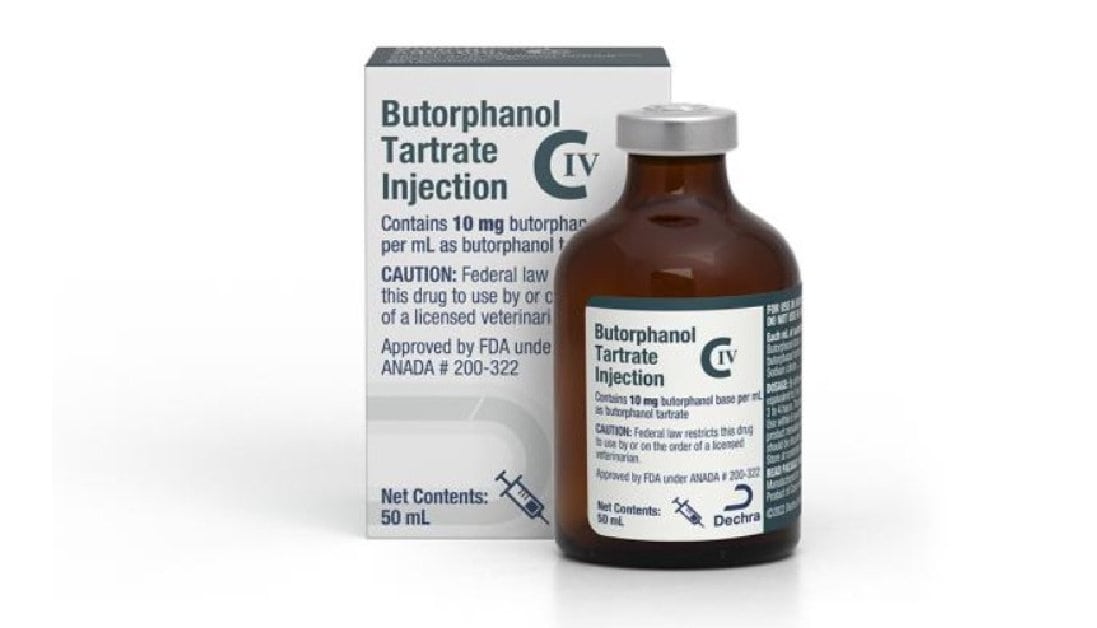 Butorphanol For Dogs: Vet Gives Dose, Side Effects & Alternatives