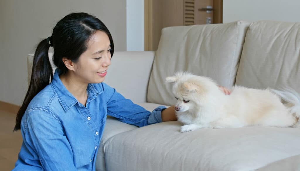 woman petting dog on couch