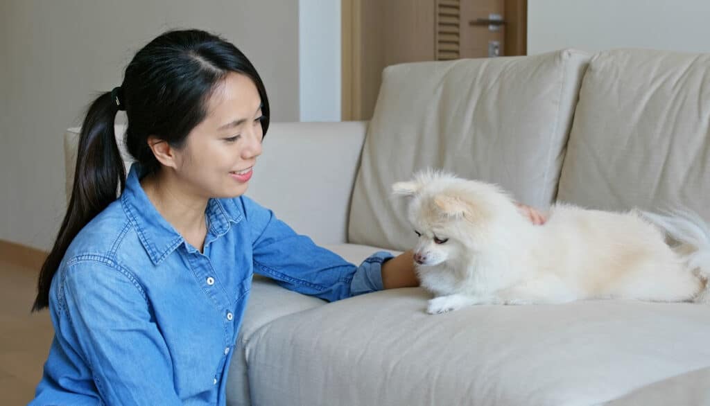 woman with dog on couch