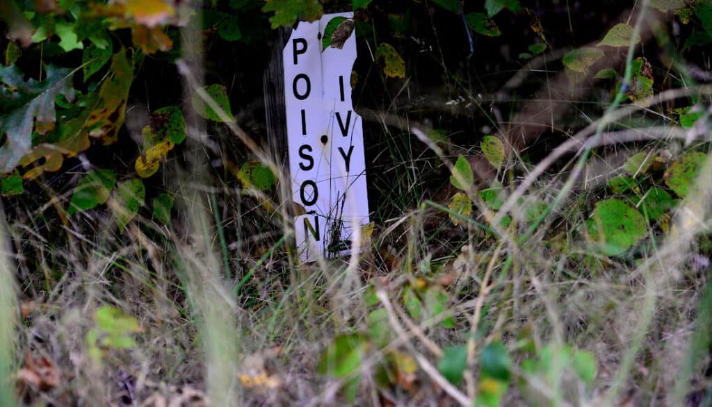 sign warning of a patch of poison ivy