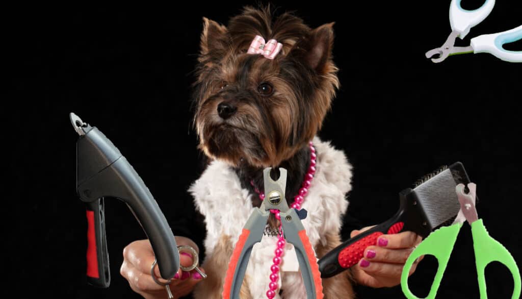 different types of nail clippers for dogs

