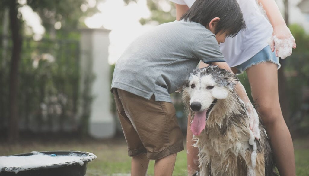 happy bath time what kind of shampoo should you use at home
