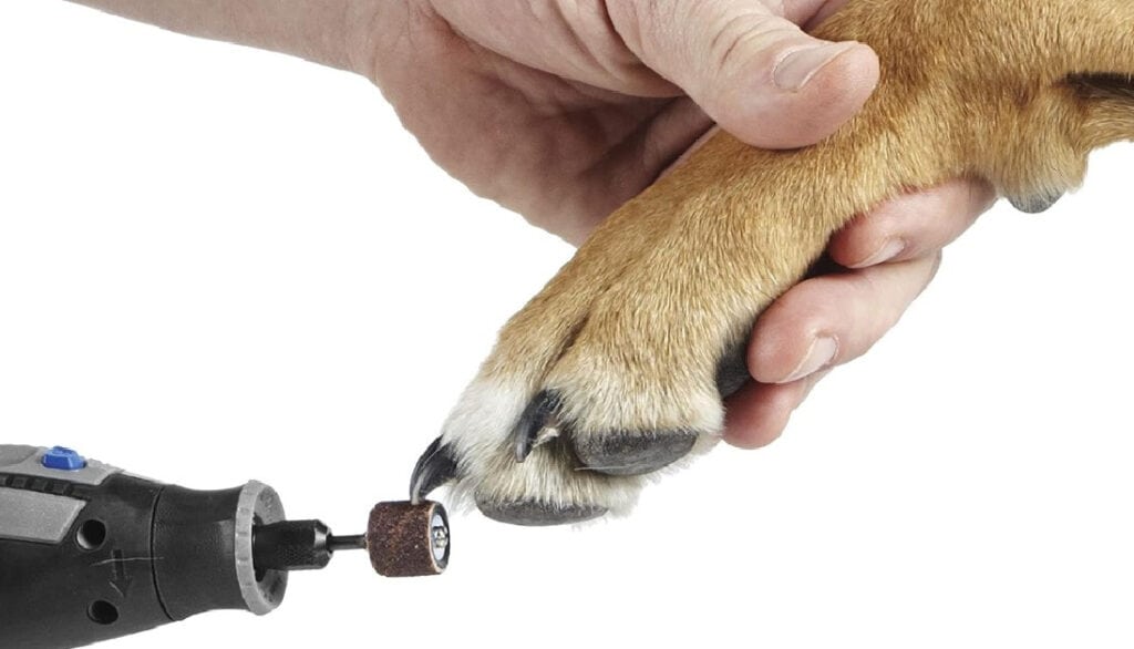 how to use a dog nail grinder