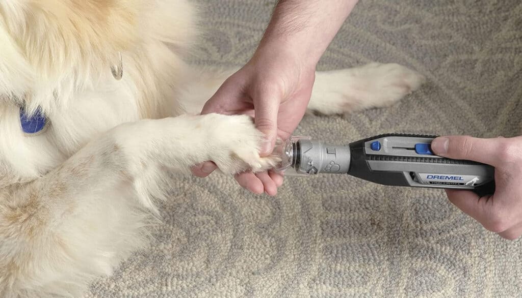 dog nail grinder dremel tool